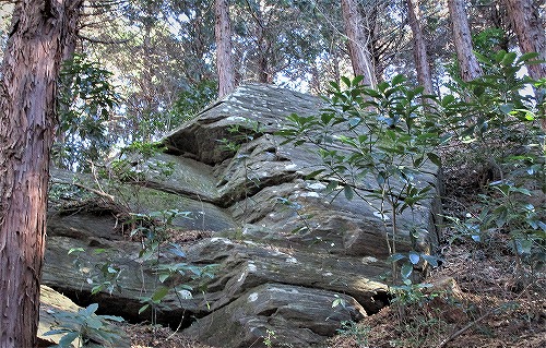 宝篋山中に露頭する変成岩/宝篋山登山4