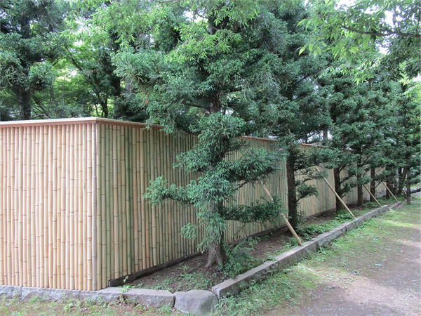 杉木立の中につくられた木賊塀による外構｜木賊垣、外構工事、茨城