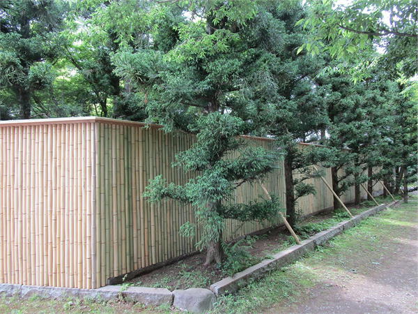 杉木立の中につくられた木賊塀による外構|木賊垣、外構工事、茨城