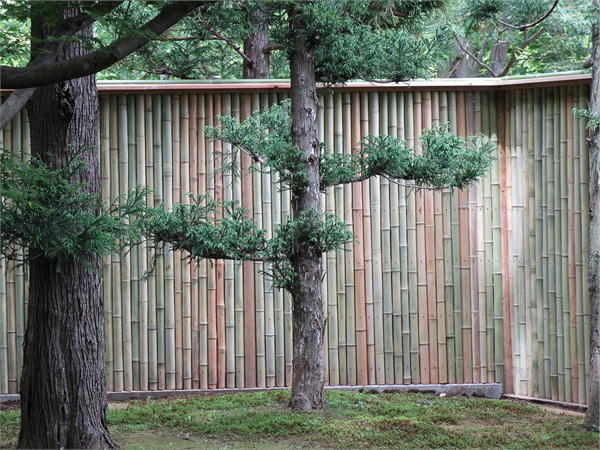 庭側も木賊張りとなっている|目立たないよう丸柱を使用し、竹の雰囲気と合わせる
