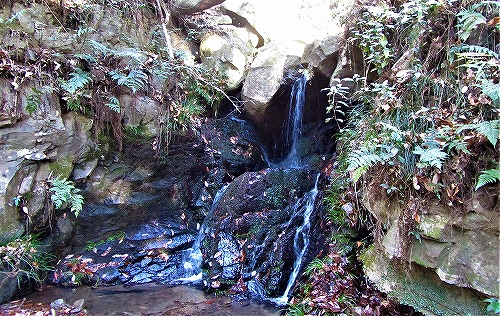 変成岩の岩肌を伝う沢｜水音が心地よい/宝篋山登山6